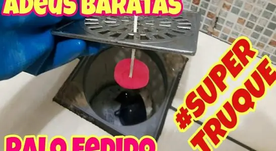 Como acabar com as baratas que aparecem no seu ralo para sempre 2 como acabar com as baratas