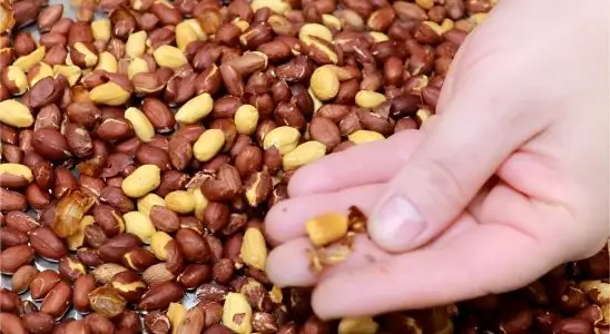 Essa é a maneira mais fácil e prática de torrar amendoim em poucos minutos 3 torrar amendoim