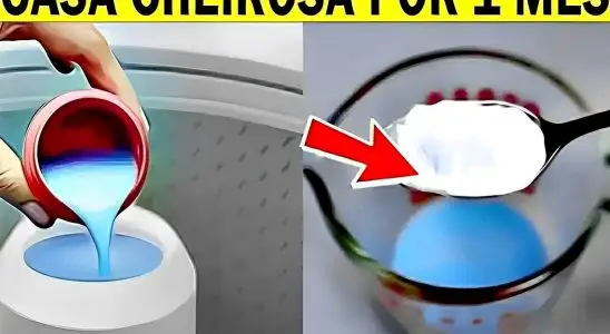 Cheirinho para casa nova delicioso que dura 1 mês feito com apenas 3 ingredientes 1 cheirinho para casa nova