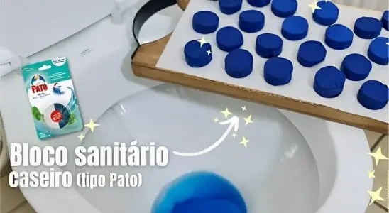 Bloco sanitário caseiro para colocar na caixa acoplada e deixar o seu vaso sanitário muito limpo e perfumado 2 bloco sanitário caseiro