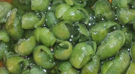 Doce assim é a primeira vez que você vai comer doce de limão delicioso e surpreendente 4 doce de limão