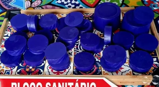 Bloco sanitário caseiro para deixar seu banheiro limpo e cheiroso para o natal 1 bloco sanitário