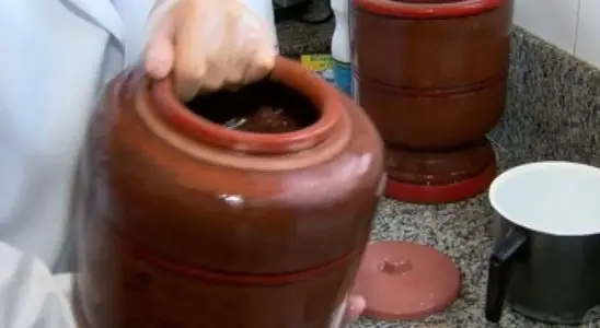 Como limpar filtro de barro usando uma técnica infalível e eficiente 1 como limpar filtro de barro