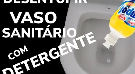 Comece seu ano novo aprendendo uma técnica fácil de como desentupir vaso sanitário 4 como desentupir vaso sanitário
