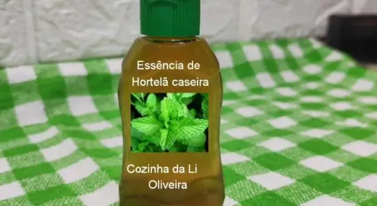 Essência de hortelã caseira para você usar em várias receitas do sua semana 2 essência de hortelã caseira