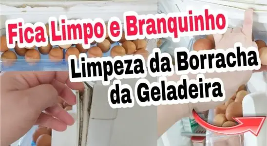 Como limpar borracha da geladeira e deixar sua cozinha super limpinha para o fim de ano 3 como limpar borracha da geladeira