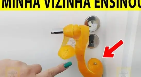 Você não acredita o que acontece quando se coloca casca de laranja atrás da porta 4 casca de laranja