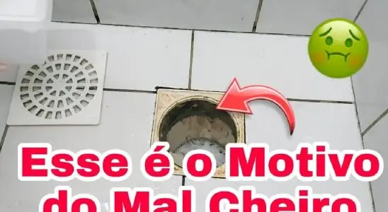 É assim que se faz para tirar mau cheiro do ralo do banheiro 2 tirar mau cheiro do ralo do banheiro