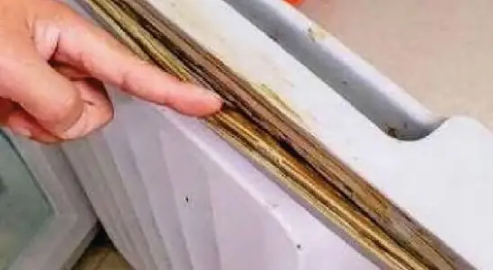 Veja como limpar a borracha da geladeira e retirar toda sujeira encardida 4 limpar a borracha da geladeira