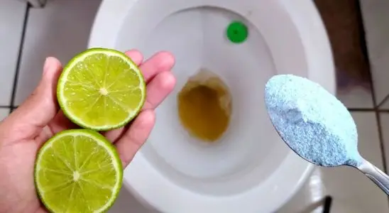 Dica para limpar banheiro com produtos simples que vão surpreender você 1 dica para limpar banheiro