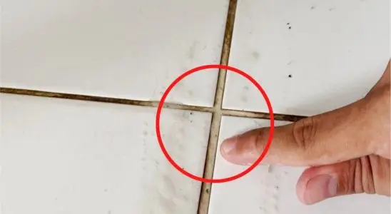 Veja como essa misturinha poderosa para limpar rejuntes encardidos é eficiente 2 limpar rejuntes encardido