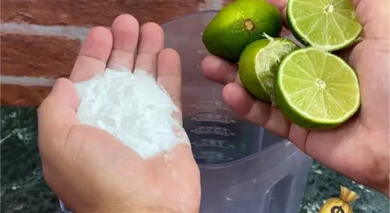 Multiuso caseiro muito eficiente que vai te ajudar demais na limpeza de casa 4 multiuso caseiro