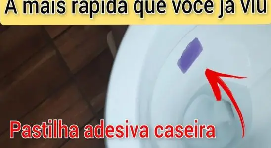 Pastilha sanitária caseira super fácil de fazer para deixar seu banheiro limpo e cheiroso 2 pastilha sanitária caseira
