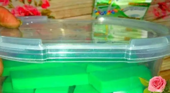 Pedra sanitária caseira para deixar seu banheiro mais limpo e cheiroso durante a semana 1 pedra sanitária caseira