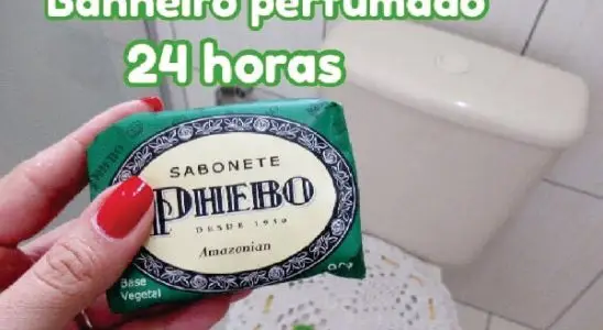 Faça um perfume para banheiro que fica cheiroso igual banheiro de hotel por bastante tempo 3 perfume para banheiro
