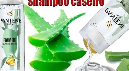 Quando você aprender a fazer shampoo caseiro de babosa não vai mais precisar gastar com produto caro no mercado 2 shampoo caseiro de babosa