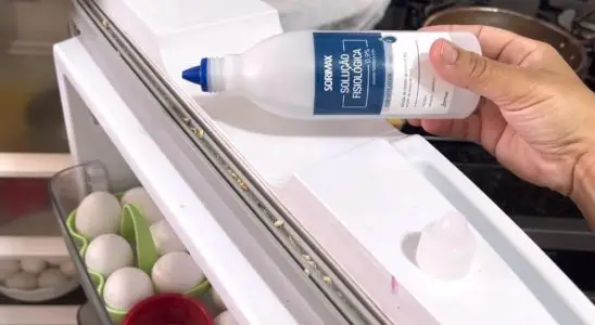 Dica muito valiosa de como limpar borracha da geladeira e tirar até as sujeiras mais encardidas 1 como limpar borracha da geladeira