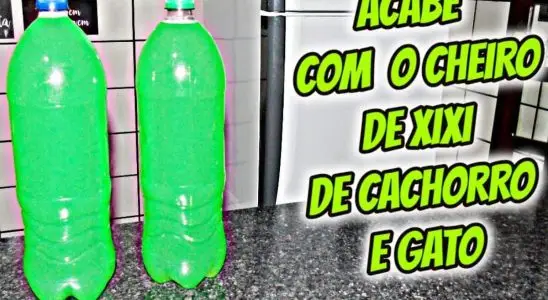 Veja como tirar cheiro de urina de animais e deixar sua casa muito cheirosa e agradável 2 como tirar cheiro de urina de animais