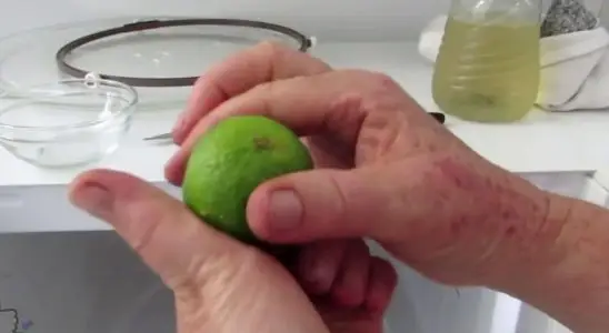Veja um jeito simples e fácil de como tirar mau cheiro do microondas 2 como tirar mau cheiro do microondas
