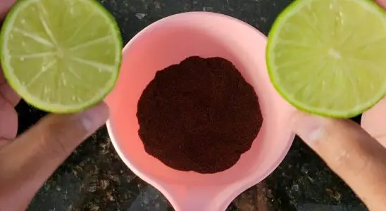 Com essa dica você vai tirar mau cheiro da geladeira de um jeito rápido e fácil 4 tirar mau cheiro da geladeira