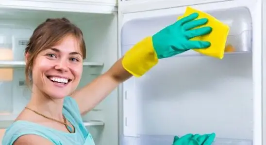 Dica perfeita para você limpar borracha da geladeira sem esforço 4 limpar borracha da geladeira