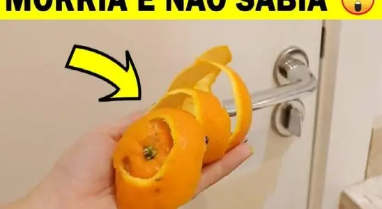 Coloque casca de laranja atrás das portas da sua casa e veja que resultado maravilhoso 4 casca de laranja