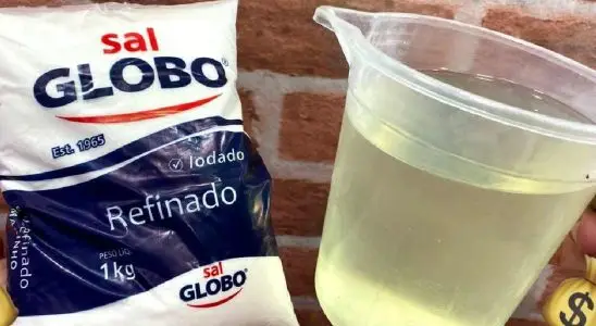 Misturei sal e água sanitária e parei de gastar com isso no mercado 4 sal e água sanitária
