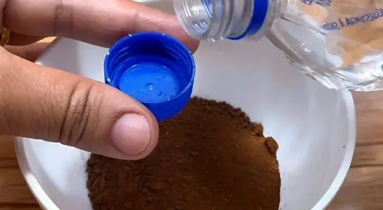 Dica para espantar insetos da cozinha de tão boa e barata que dá para fazer todo dia 2 dica para espantar insetos da cozinha