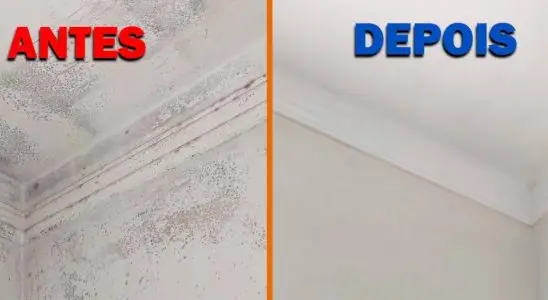 Como tirar mofo das paredes sem precisar pintar a parede novamente 4 como tirar mofo das paredes
