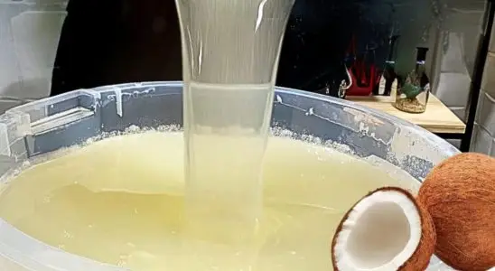 Sabão líquido de coco perfeito para lavar roupas mais encardidas e amareladas 4 sabão líquido de coco