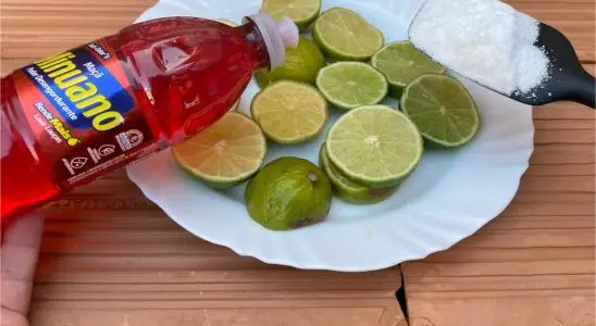 Como multiplicar detergente do jeito certo: rende muito e espuma bastante 1 como multiplicar detergente