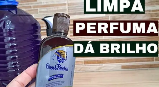 Como fazer desinfetante caseiro: produto 3 em 1 muito fácil de preparar 4 desinfetante caseiro
