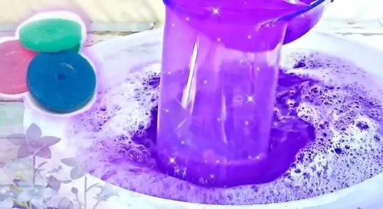Desinfetante caseiro com um ingrediente super barato que vai surpreender você 3 desinfetante caseiro