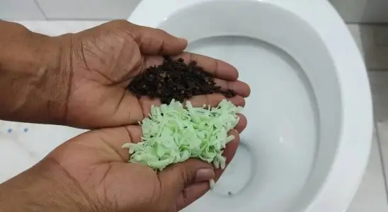 Como deixar banheiro cheiroso: técnica incrível que aprendi com uma faxineira de shopping 4 como deixar banheiro cheiroso