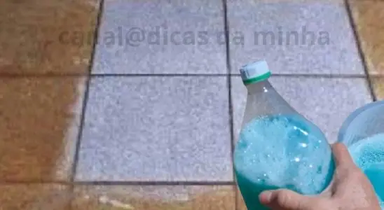 Limpa pisos caseiro: misturinha caseira melhor que produto caro do mercado 3 limpa pisos caseiro