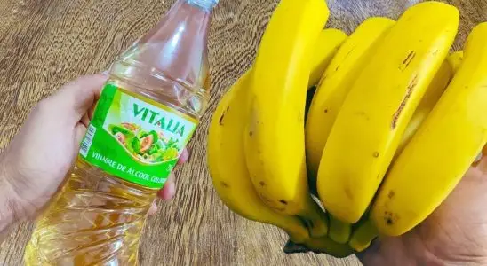 Como conservar banana madura sem escurecer e sem estragar por mais tempo 1 como conservar banana madura