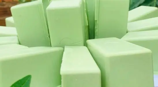 Sabão caseiro com folha de mamão: além de ingredientes fica ótimo depois de pronto 1 sabão caseiro com folha de mamão