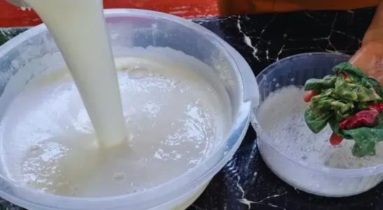 Sabão de coco caseiro: espuma muito e deixa suas roupas muito mais limpas e perfumadas 2 sabão de coco caseiro