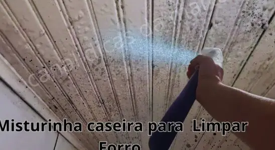 Como tirar mofo da parede: técnica econômica e sem esforço para você fazer na sua casa 4 como tirar mofo da parede