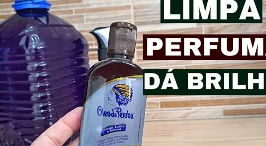 Desinfetante caseiro que faz o serviço de vários produtos de limpeza de uma vez só 4 desinfetante caseiro
