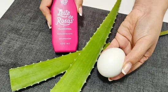 Como fazer hidratante para pele caseiro usando ingredientes que você já tem em casa 1 hidratante para pele caseiro