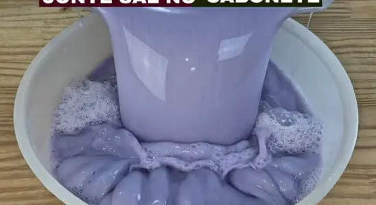 Sabão líquido perfumado: veja como fazer essa receita que rende bastante 1 sabão líquido perfumado