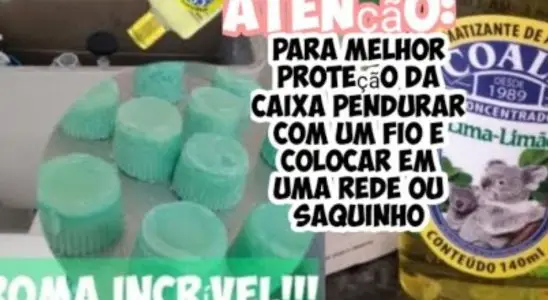 Veja como fazer pedra sanitária caseira de um jeito muito fácil e econômico 4 pedra sanitária caseira