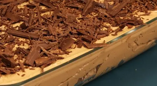 Mousse de chocolate: sobremesa cremosa feita sem fogo e sem gelatina que fica irresistível 4 MOUSSE DE CHOCOLATE