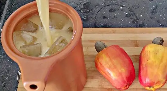 Suco de caju: veja como preparar com sabor natural, refrescante e sem perder os nutrientes 3 SUCO DE CAJU