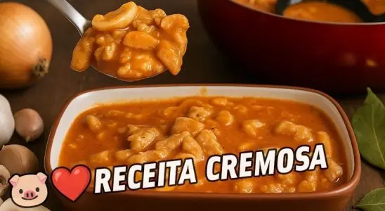 estrogonofe de porco