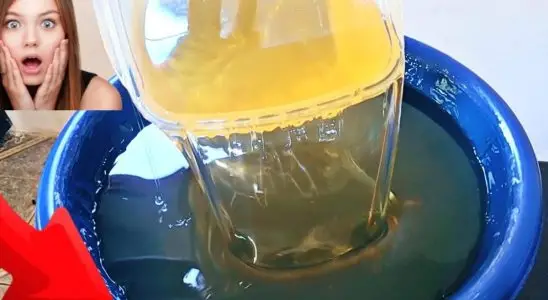 Detergente caseiro potente e barato, limpa de verdade e ainda tem perfume agradável 2 detergente caseiro