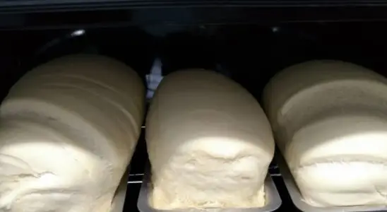Pão caseiro simples e fofinho feito com poucos ingredientes e muito sabor 4 pão caseiro