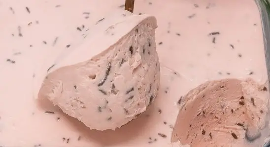Sorvete de liquidificador pronto em só 3 minutos para refrescar sua festa de ano novo 1 sorvete de liquidificador