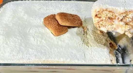 Pavê de Leite em Pó: essa sobremesa é a mais fácil e rápida do mundo, não vai ao fogo, só misturar 1 pavê de leite em pó